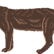 Gulf Coast jaguarundi